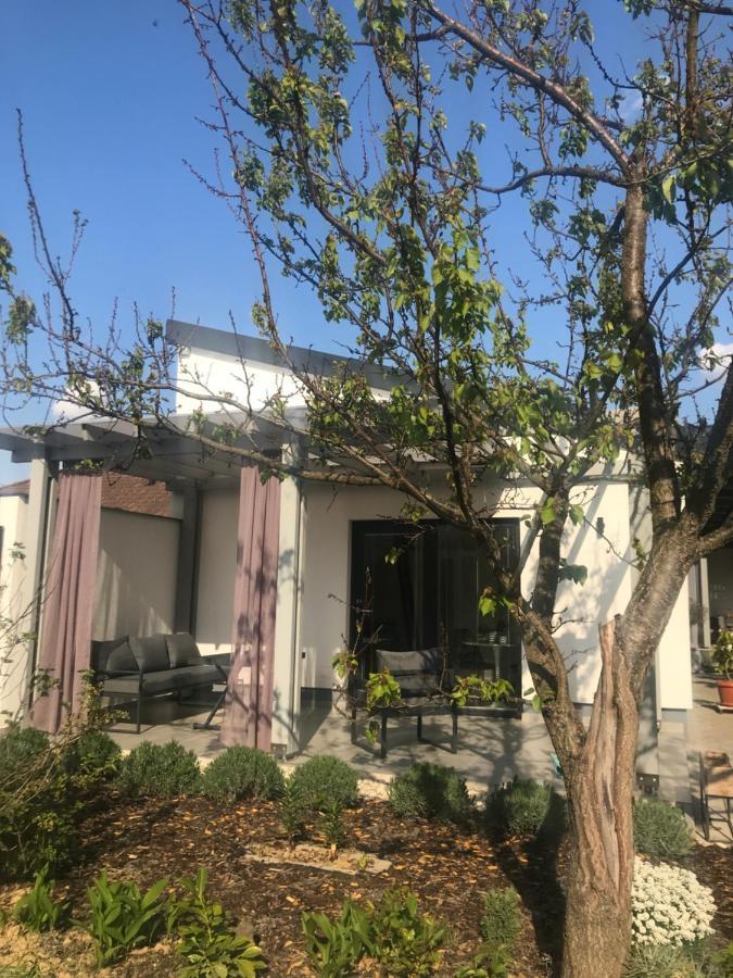 Angelit Studio Apartman Zalakaros Dış mekan fotoğraf